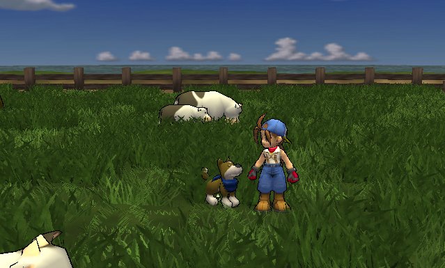 sthcows.jpg